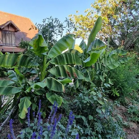 Cocon Du Domaine De La Grande Decision Vakantiehuis