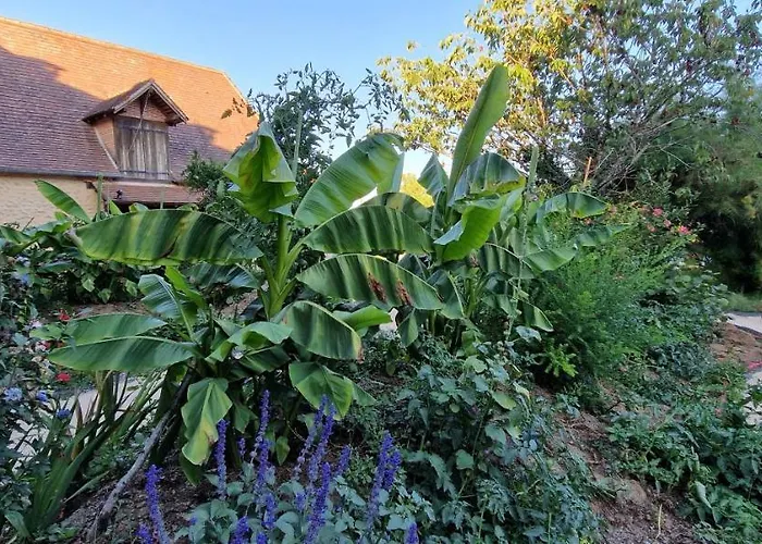 Cocon Du Domaine De La Grande Decision Tatil Evi